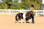 SBM_08101