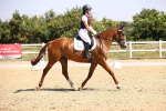 SBM_003697