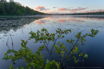 Bear Brook Confluence