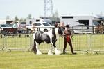 SBM_05487