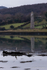 The Heron & The Tower