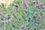 SBM_06011
