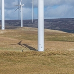 Scout Moor