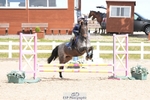 Clear Round and 60cm portfolio