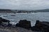 DSC01846