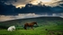 Pendle