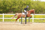 SBM_003872