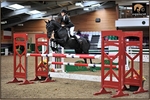 equiscot 8347 AILSA BLACK - PADDIOCO