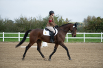 SBM_003529