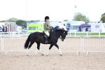 SBM_17490