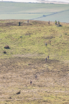 Black Combe-5