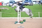 Cls 10 Foxhunter and 1.20m portfolio