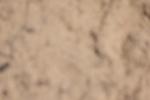20260523-1438