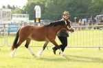 SBM_00391
