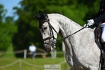 454-COOLEY_ROSALENT-Oliver_Townend-DR portfolio
