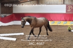 JAC_4687