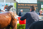 160725-Race 6-Bellarchi-9612