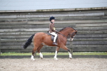 SBM_005997
