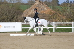Dressage - Legacy C portfolio