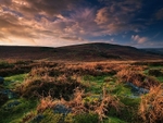 Ilkley Moor