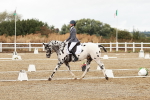 SBM_002675