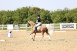 SBM_010279