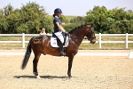 SBM_003933
