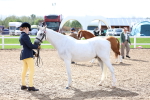SBM_02489