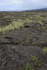 Pu'u Loa Petroglyphs, Hawaii Volcanoes National Park