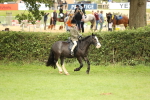 SBM_71598