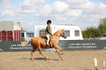 SBM_03330