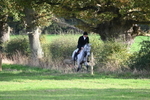 WJ6_5479