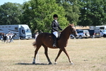 WJ6_8335