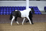SBM_5483