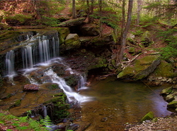 Allegheny National Forest portfolio