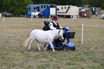 WJ6_6012