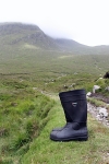 Wellies
