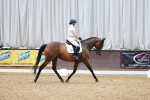 SBM_001462