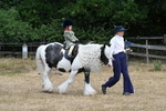 WJ7_6929