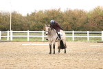 SBM_001913