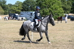 WJ6_9195