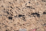 260423-170843-07777