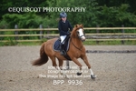 BPP_9936