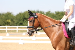 SBM_005019