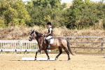 SBM_001419