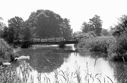 Traditional Black & White portfolio
