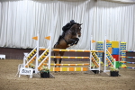SBM_002550
