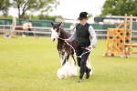 SBM_05971
