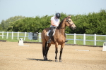 SBM_007860