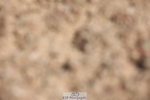 240621A-101058-00082